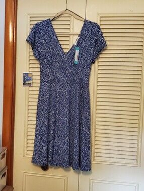 Blue V-Neck Flutter Sleeve A-Line Dress